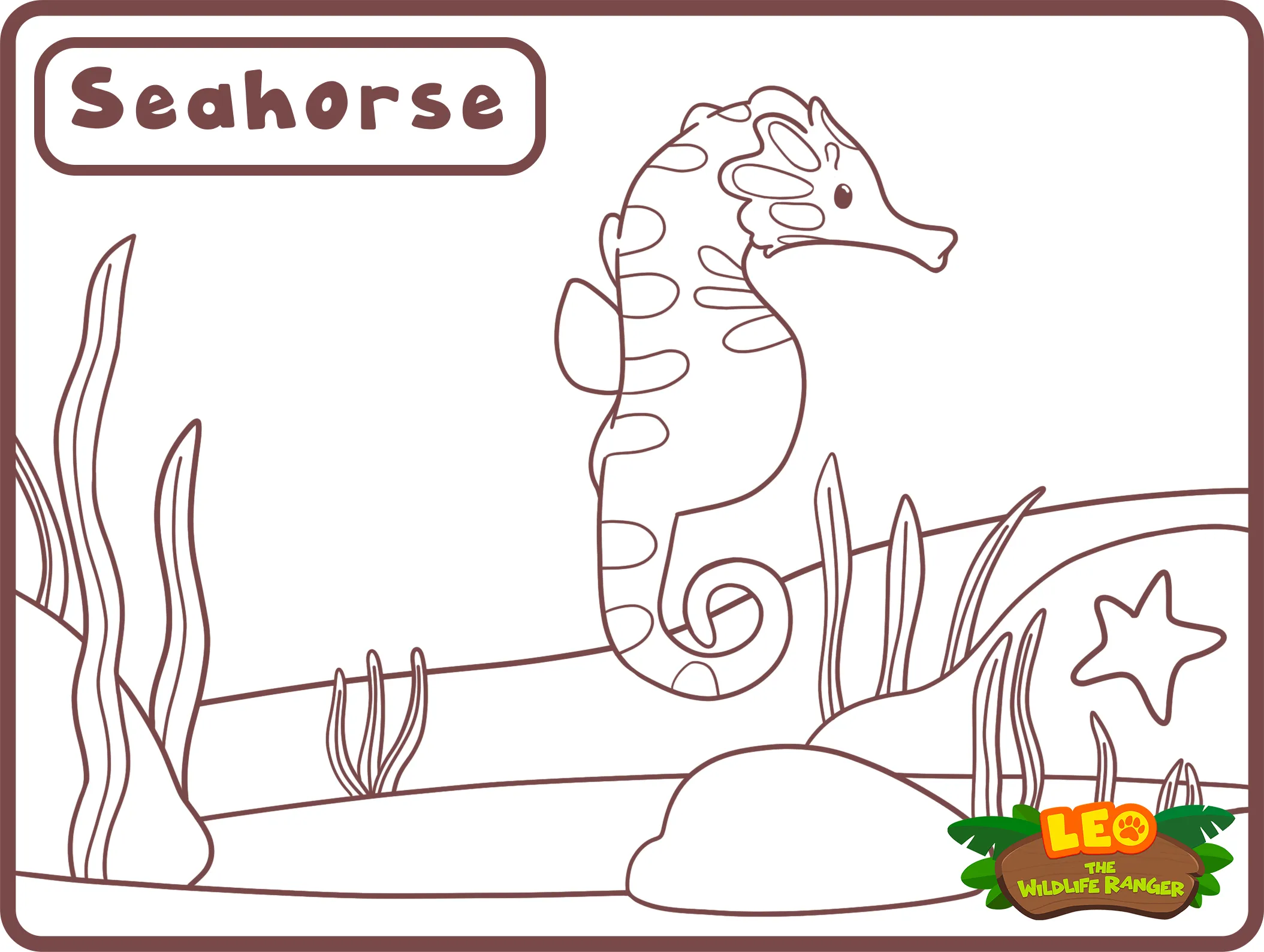 seahorse coloring sheet