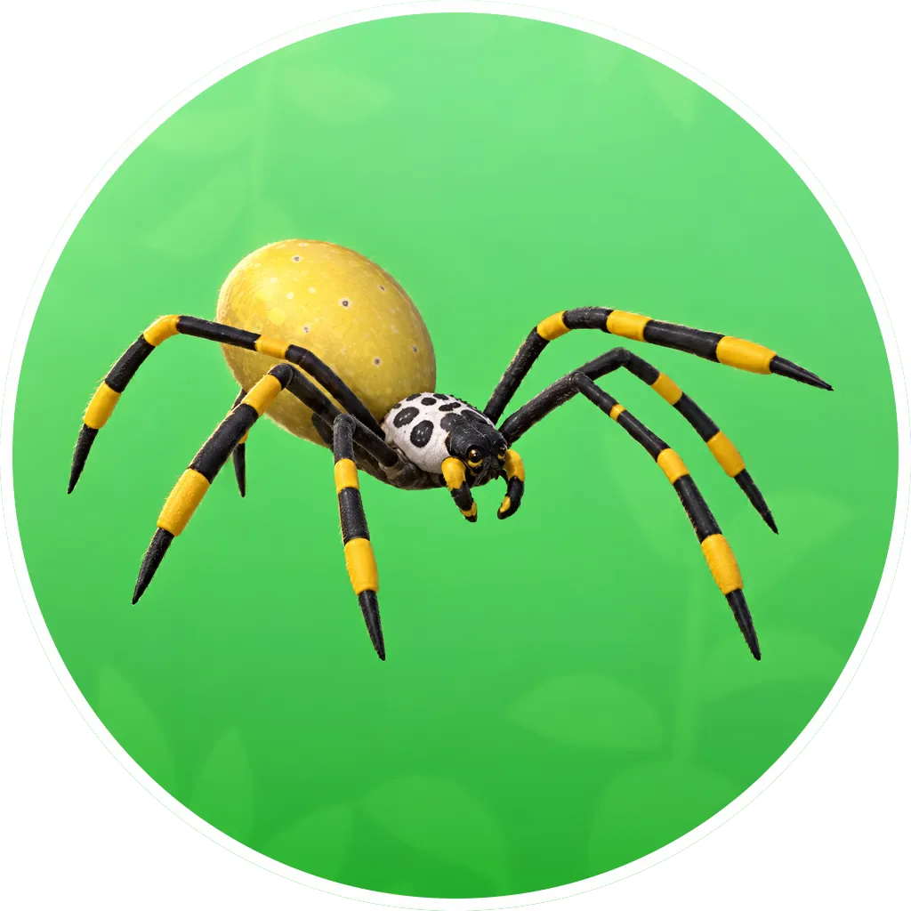 Golden Silk Spider