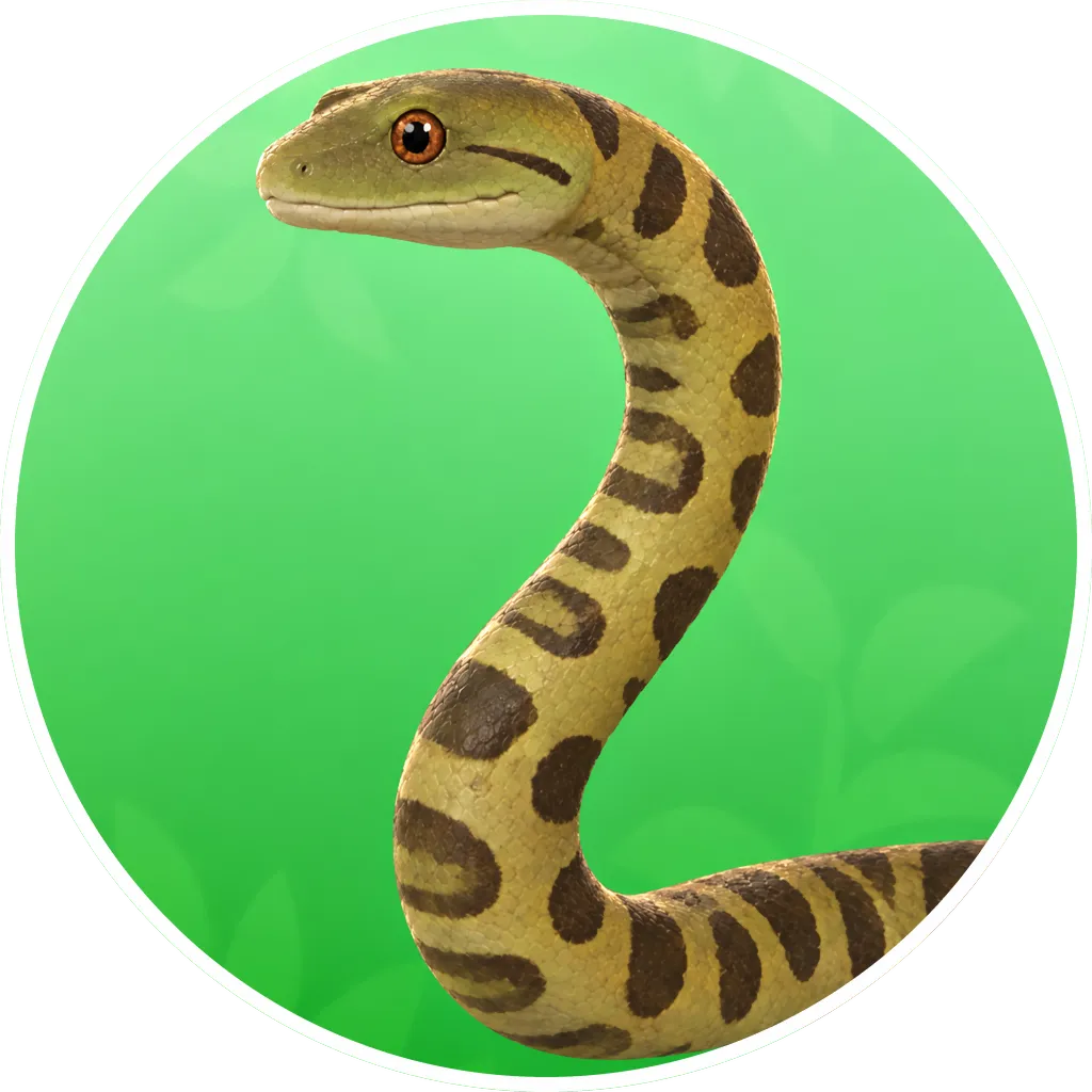 Green Anaconda