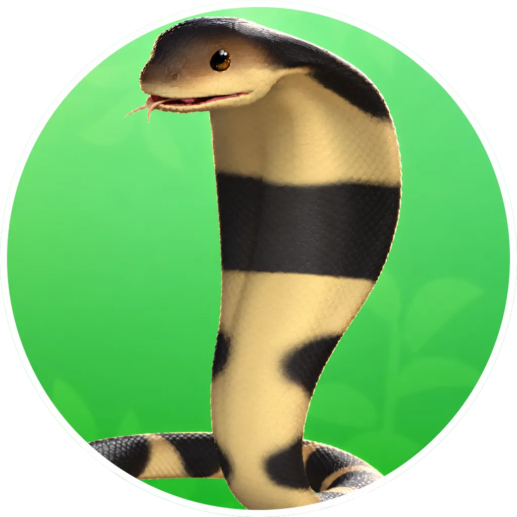 King Cobra