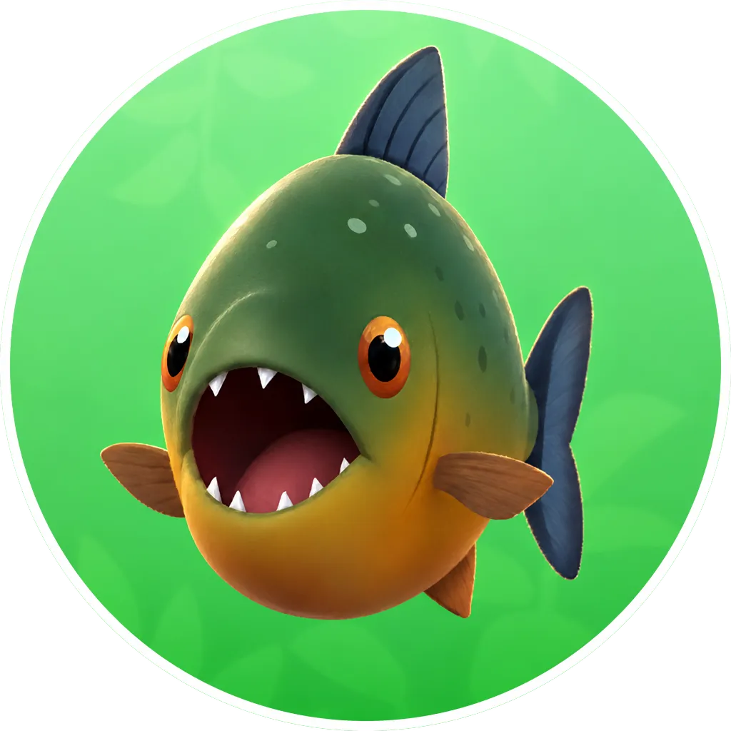Red-Bellied Piranha