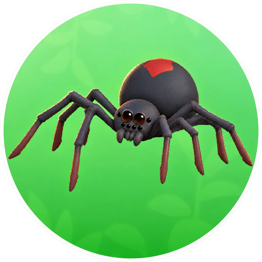Redback Spider